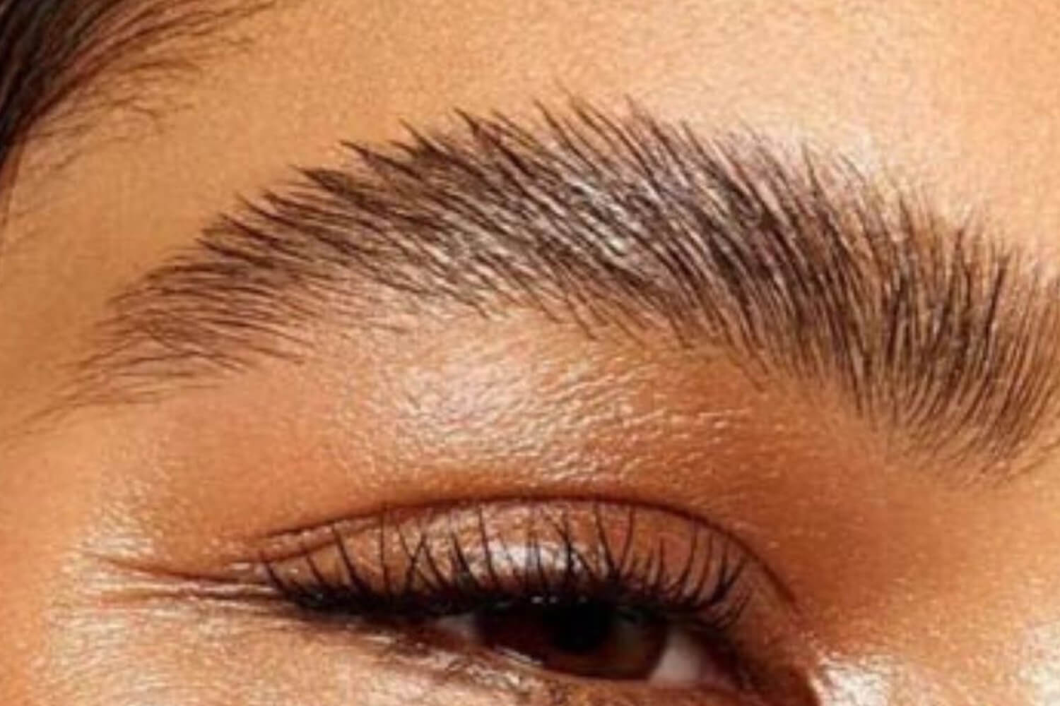 Close up a beautiful eyebrow and eye
