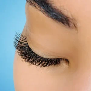 a female's lashes